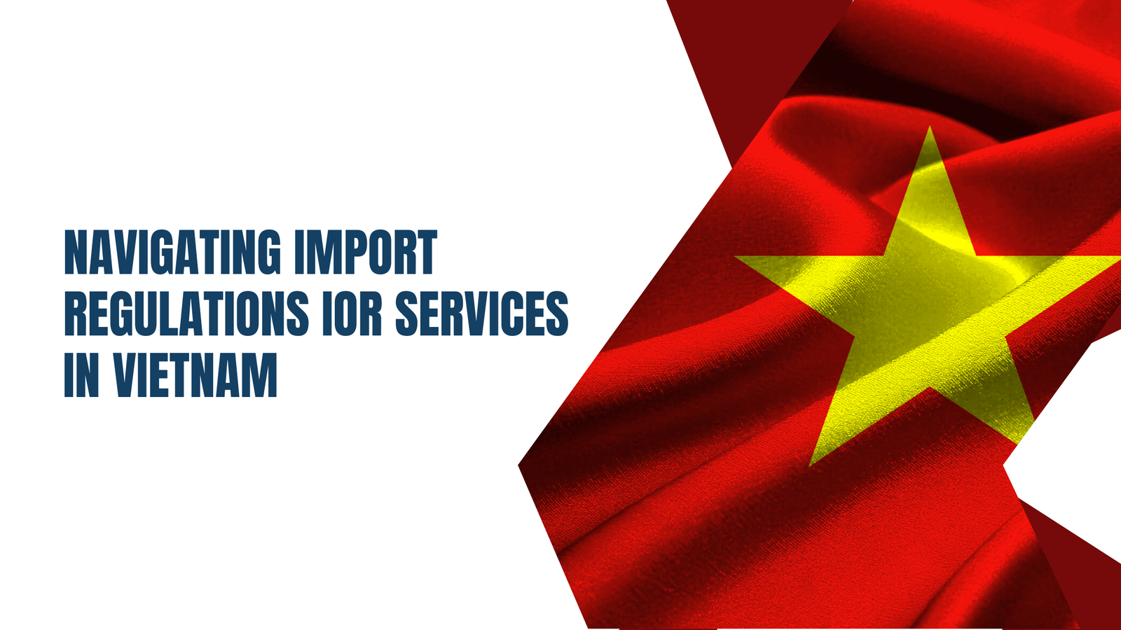 Navigating Import Regulations IOR Services in Vietnam